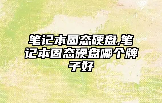 筆記本固態硬盤,筆記本固態硬盤哪個牌子好