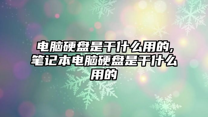 電腦硬盤是干什么用的,筆記本電腦硬盤是干什么用的