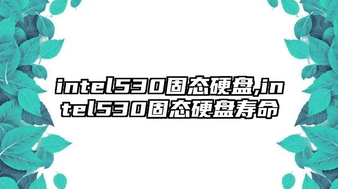 intel530固態硬盤,intel530固態硬盤壽命