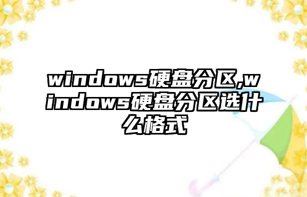 windows硬盤分區,windows硬盤分區選什么格式