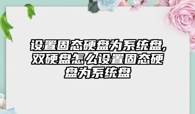 設置固態硬盤為系統盤,雙硬盤怎么設置固態硬盤為系統盤