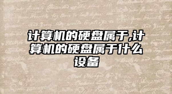 計算機的硬盤屬于,計算機的硬盤屬于什么設備