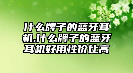 什么牌子的藍牙耳機,什么牌子的藍牙耳機好用性價比高