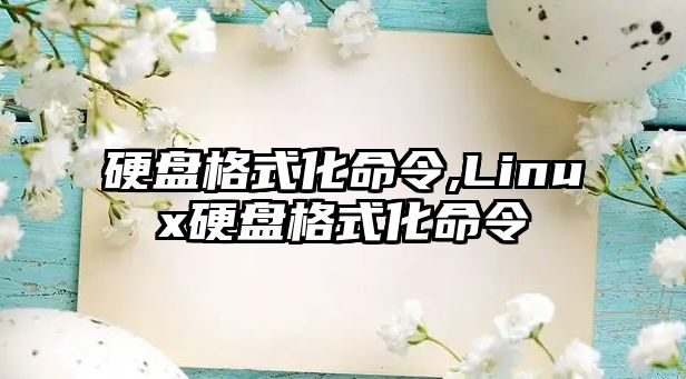 硬盤(pán)格式化命令,Linux硬盤(pán)格式化命令