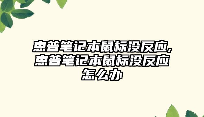 惠普筆記本鼠標沒反應(yīng),惠普筆記本鼠標沒反應(yīng)怎么辦