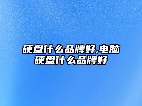 硬盤什么品牌好,電腦硬盤什么品牌好