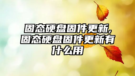 固態硬盤固件更新,固態硬盤固件更新有什么用