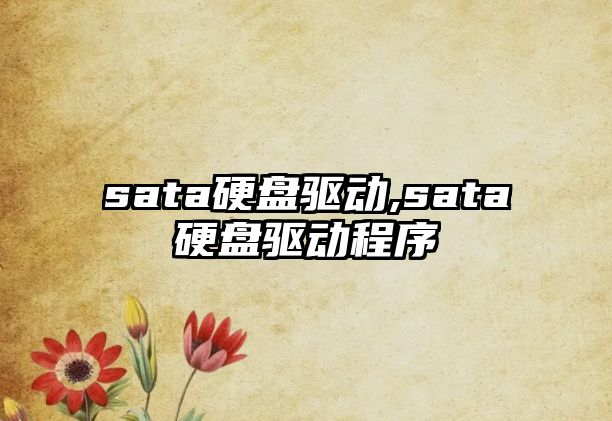 sata硬盤(pán)驅(qū)動(dòng),sata硬盤(pán)驅(qū)動(dòng)程序