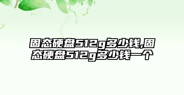 固態硬盤512g多少錢,固態硬盤512g多少錢一個