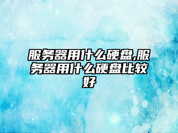 服務器用什么硬盤,服務器用什么硬盤比較好