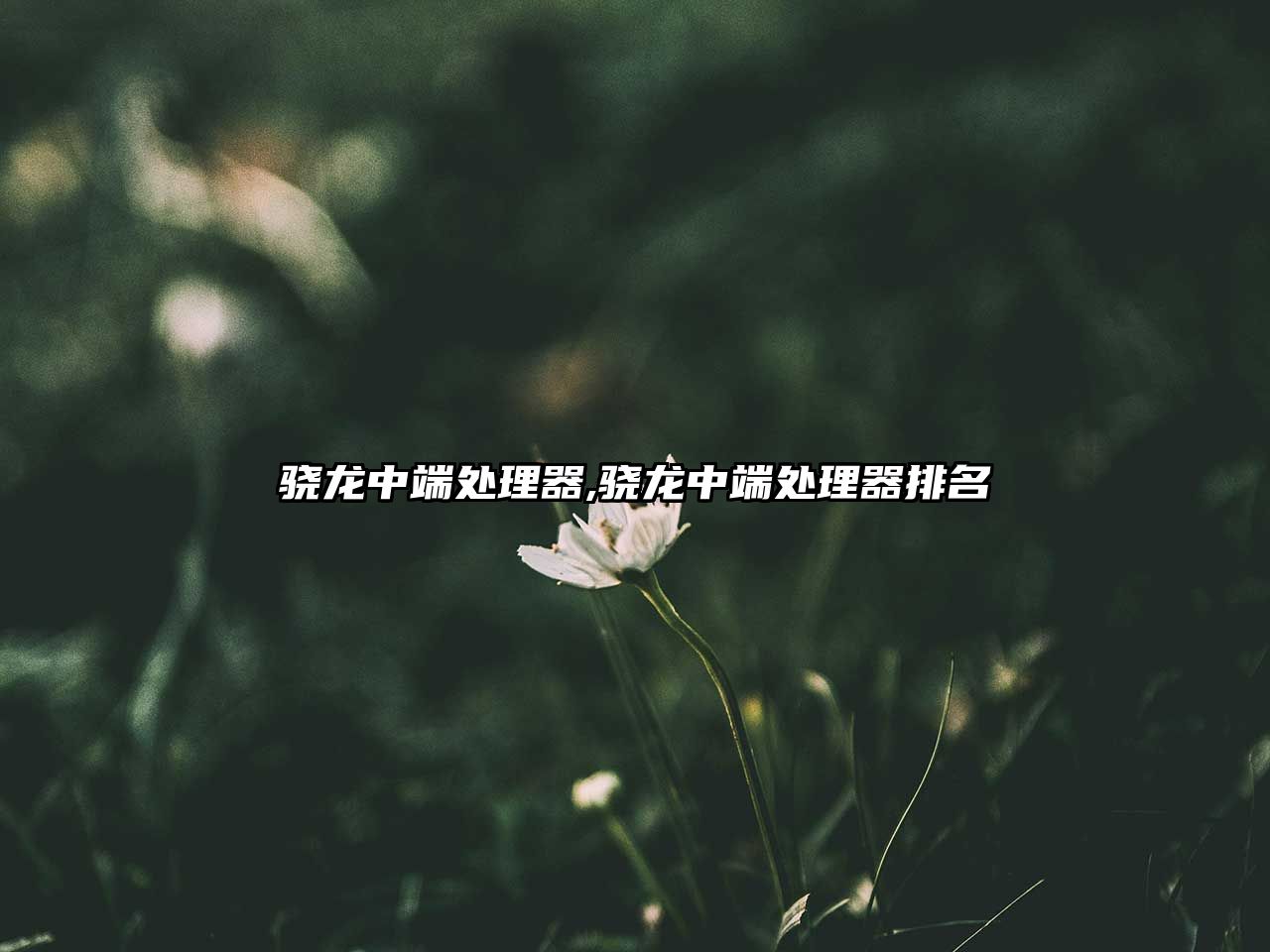 玉翠科技網