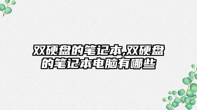 雙硬盤的筆記本,雙硬盤的筆記本電腦有哪些